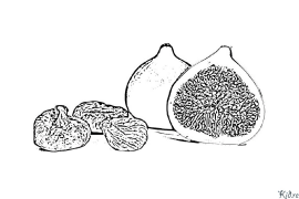 fig Preseblaj Koloraj Paĝoj